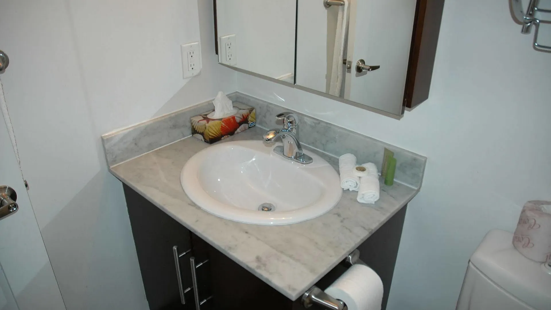Park Suites Toronto - Element